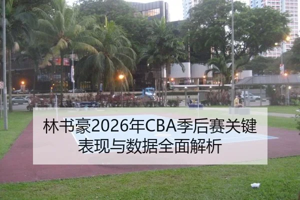 林书豪2026年CBA季后赛关键表现与数据全面解析